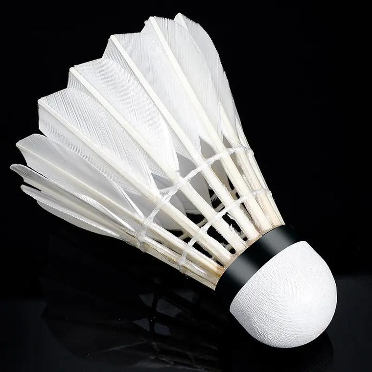 体育纪民尚借调高速男篮俱乐部 出任竞训总监